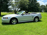 Used 2003 Ford Mustang Premium image 4