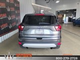 Used 2019 Ford Escape SE image 5