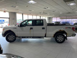 Used 2011 Ford F150 XLT image 4
