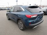 Used 2020 Ford Escape SEL image 4