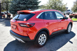 New 2024 Ford Escape Active w/ Tech Pack #1 image 4