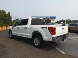 Certified 2023 Ford F150 XLT w/ Equipment Group 301A Mid image 3
