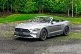 Used 2022 Ford Mustang Premium image 1