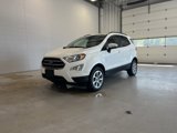 Used 2019 Ford EcoSport SE image 2