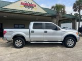 Used 2013 Ford F150 XLT w/ Luxury Equipment Group image 4