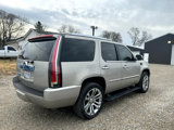 Used 2007 Cadillac Escalade AWD w/ Information Package image 3
