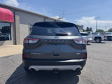 Used 2020 Ford Escape Titanium image 4