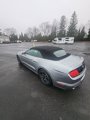 Used 2022 Ford Mustang Premium image 6