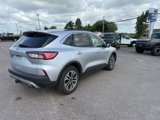 Used 2020 Ford Escape SEL image 6