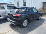 Used 2022 Ford Escape SE w/ Convenience Package image 3