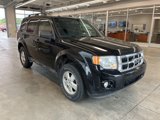 Used 2010 Ford Escape XLT image 3