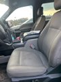 Used 2016 Ford F150 XLT w/ Equipment Group 302A Luxury image 4