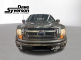 Used 2013 Ford F150 XLT w/ Luxury Equipment Group image 6