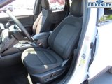 Used 2024 Ford Escape Active w/ Tech Pack #1 image 3