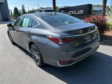 Certified 2024 Lexus ES 250 w/ Premium Package image 3