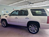 Used 2011 Cadillac Escalade Platinum image 4