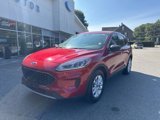 Used 2022 Ford Escape SE w/ Cold Weather Package image 3