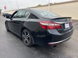 Used 2016 Honda Accord Sport image 3