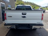 Used 2014 Ford F150 XLT w/ Equipment Group 302A Luxury image 4