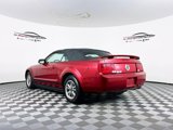 Used 2005 Ford Mustang Convertible image 6
