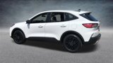 Used 2020 Ford Escape SE Sport image 4