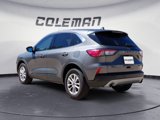 Used 2022 Ford Escape SE w/ Convenience Package image 3