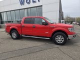 Used 2014 Ford F150 XLT image 5