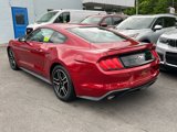 Used 2020 Ford Mustang Coupe w/ Equipment Group 101A image 2