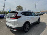 Used 2020 Honda CR-V EX image 3