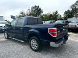 Used 2013 Ford F150 XLT w/ Luxury Equipment Group image 2