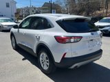 Used 2022 Ford Escape SE image 5