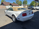 Used 2005 Ford Mustang Premium image 3