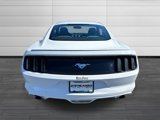 Used 2016 Ford Mustang Coupe image 5