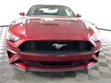 Used 2019 Ford Mustang Premium w/ Equipment Group 201A image 3