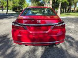 Used 2017 Honda Accord Sport image 6