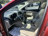 Used 2014 Ford Escape Titanium image 5