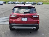 Used 2021 Ford Escape SE image 4