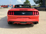 Used 2016 Ford Mustang Premium w/ Equipment Group 201A image 5