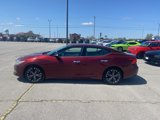 Used 2016 Nissan Maxima 3.5 SL image 3
