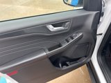 Used 2023 Ford Escape ST-Line w/ Tech Pack #1 image 6