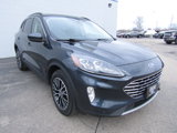 Used 2022 Ford Escape Titanium w/ Titanium Premium Package image 4