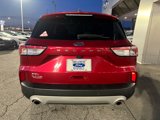 Used 2022 Ford Escape SEL image 4