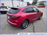 Used 2024 Ford Escape ST-Line w/ Tech Pack #1 image 3