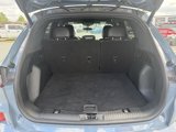 Used 2023 Ford Escape ST-Line image 5