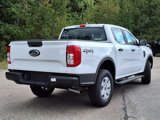 New 2025 Ford Ranger XL image 4