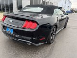 Used 2023 Ford Mustang Premium image 3