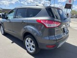 Used 2015 Ford Escape Titanium image 3