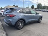 Used 2024 Ford Escape Active w/ Tech Pack #2 image 4