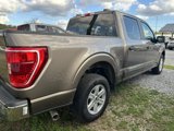 Used 2023 Ford F150 XLT image 4