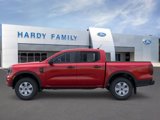 New 2025 Ford Ranger XL image 3